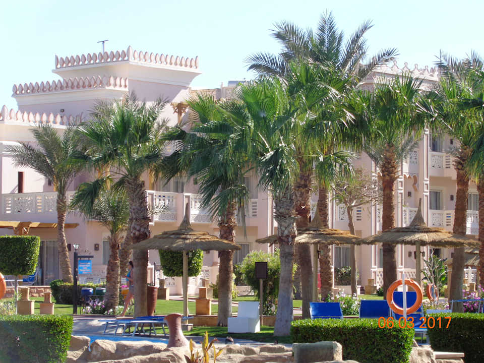 Traumhaft Pickalbatros Palace Resort