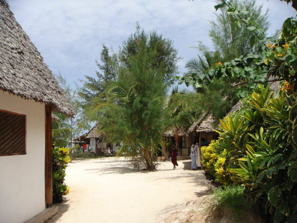 Bungalows on the beach Jambo Brothers Bungalows