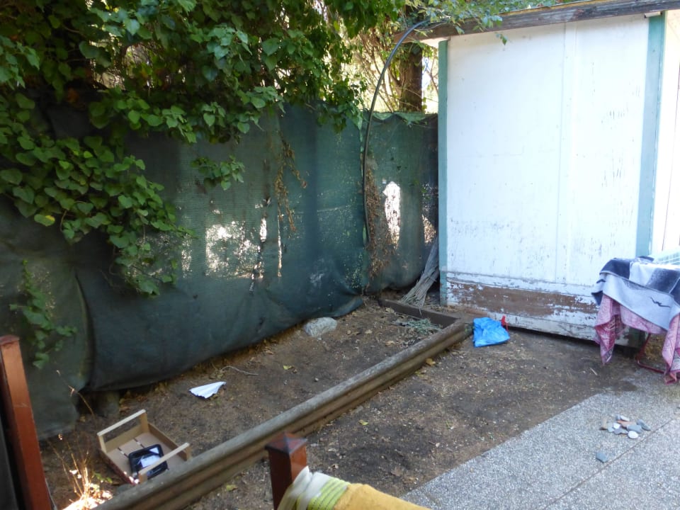 Vue depuis notre bungalow avec route à coté  Camping Free Beach