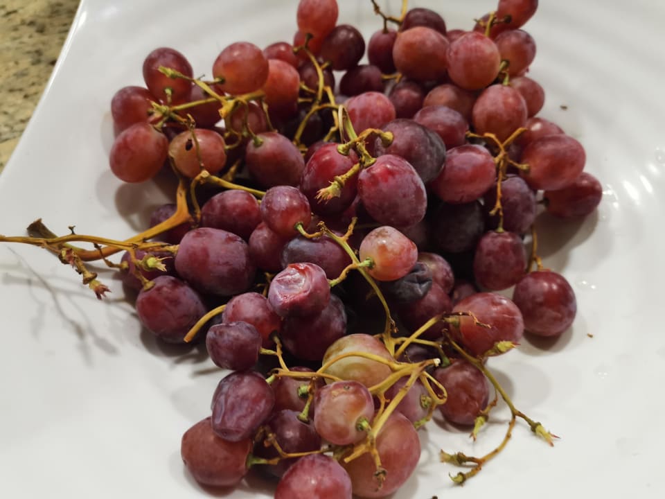 Gastro Anavadia Hotel