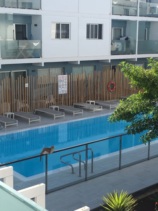 Pool Bristol Sunset Beach - Holiday Apartments