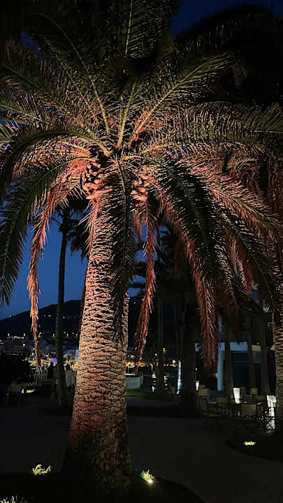 Gartenanlage Melia La Palma Hotel