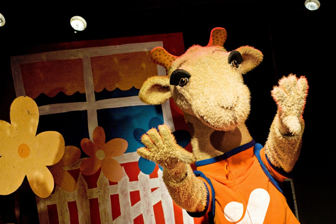 Sport & Freizeit Sunwing Fanabé Beach