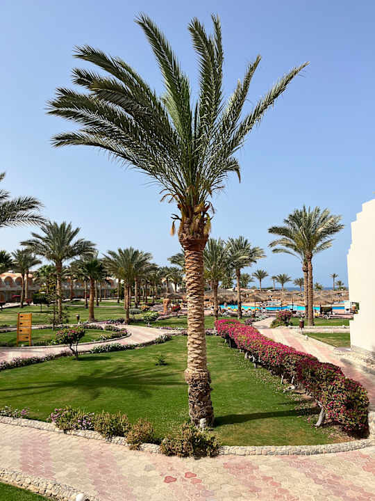 Gartenanlage Three Corners Sea Beach Resort