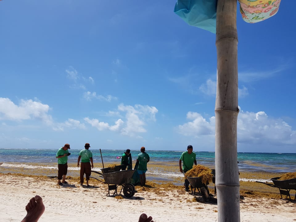 Strand Akumal Bay Beach & Wellness Resort