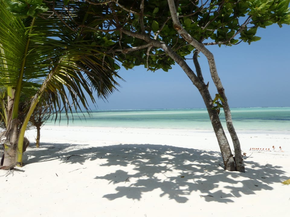 Schöner Ausblick Neptune Pwani Beach Resort & Spa