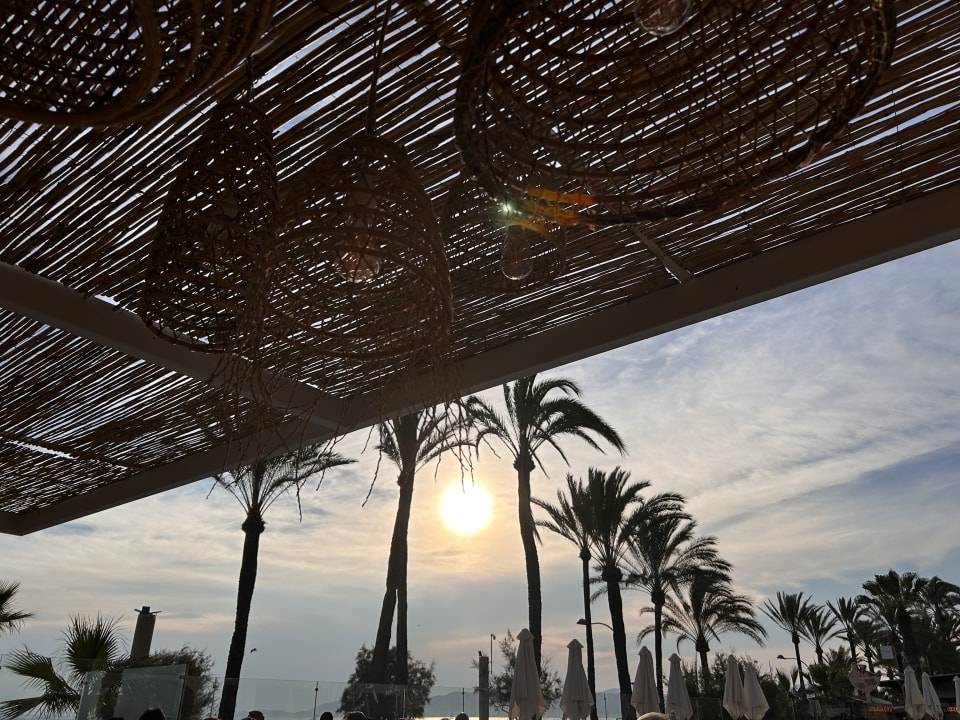 Gastro Myseahouse Flamingo - Adults only