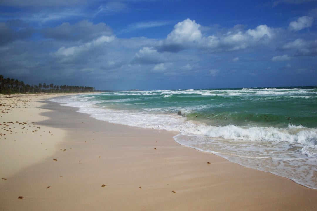 Traumstrand so weit das Auge reicht Hotel Riu Palace Bavaro