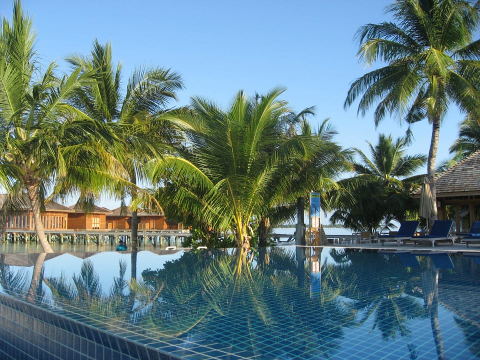 Die Liegestühle musste man nicht reservieren Vilamendhoo Island Resort & Spa