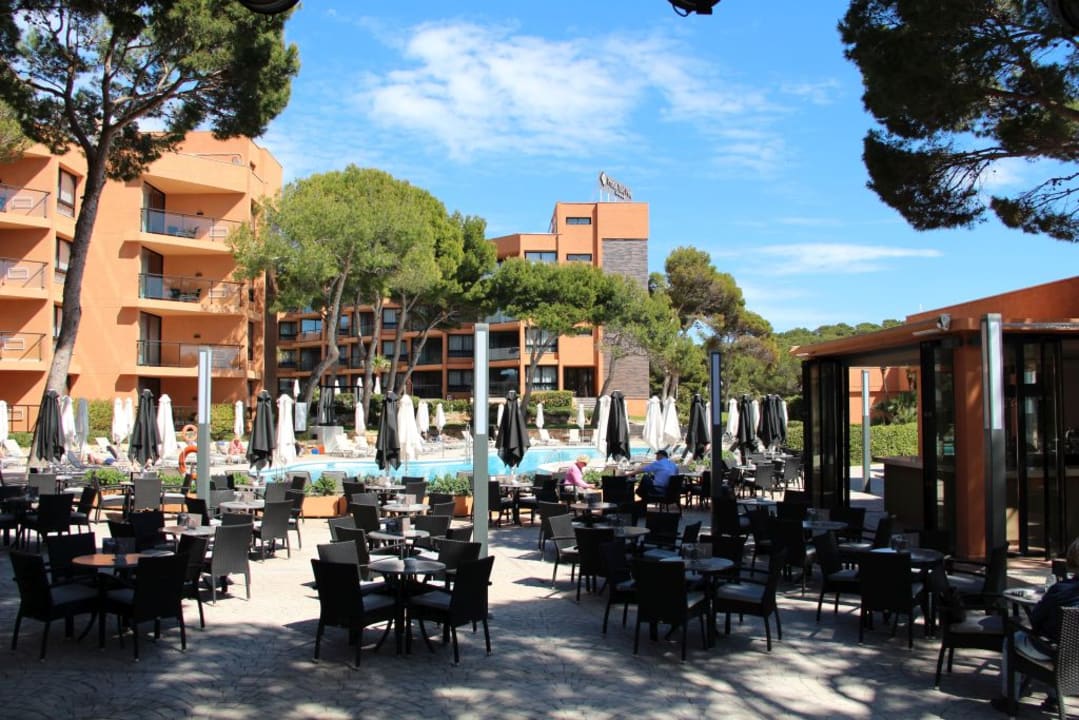 Pool Protur Turo Pins Hotel