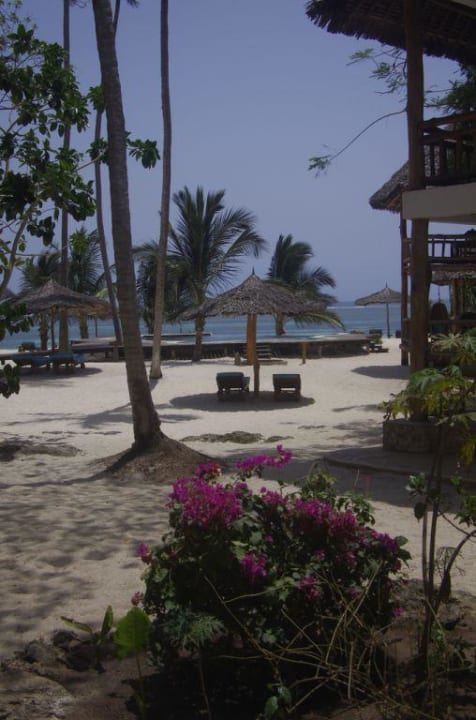 Blick vom Zimmer Hotel WaterLovers Beach Resort