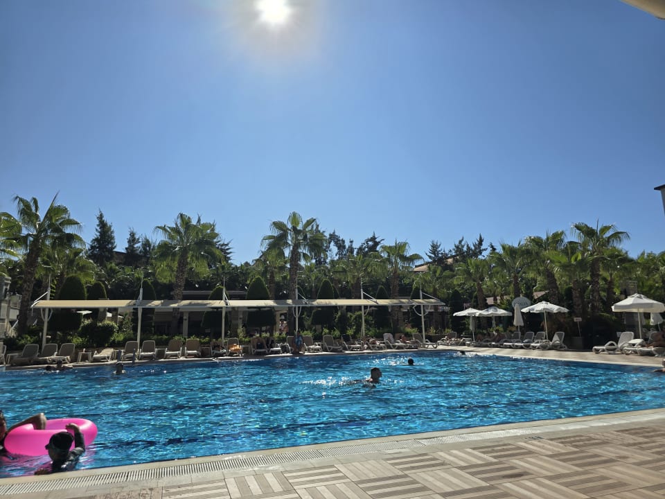 Pool Dizalya Palm Garden