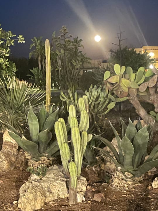 Gartenanlage VOI Arenella Resort