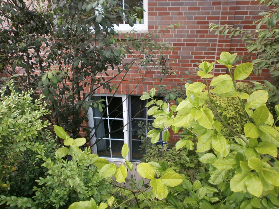 Kellerzimmer Hotel Friesenhus