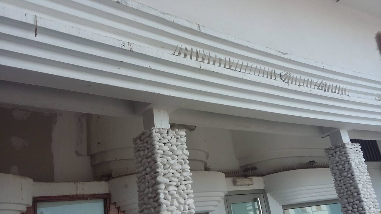 Baustelle HL Suitehotel Playa del Ingles