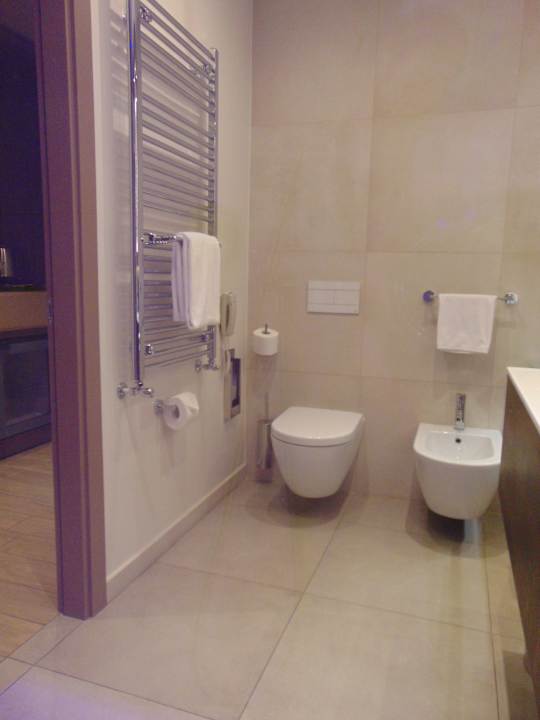 Zimmer Mercure Almaty City Center