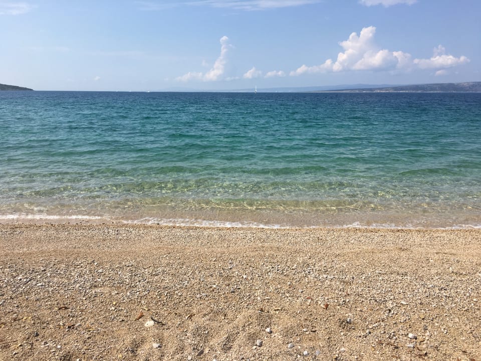 Badeschuhe braucht man. Einige Seeigel.  Falkensteiner Hotel Park Punat