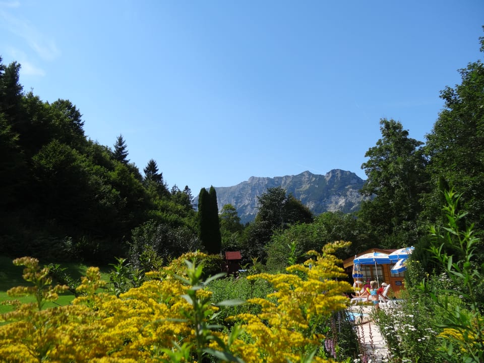 Gartenanlage Ferienwohnungen Oslhof