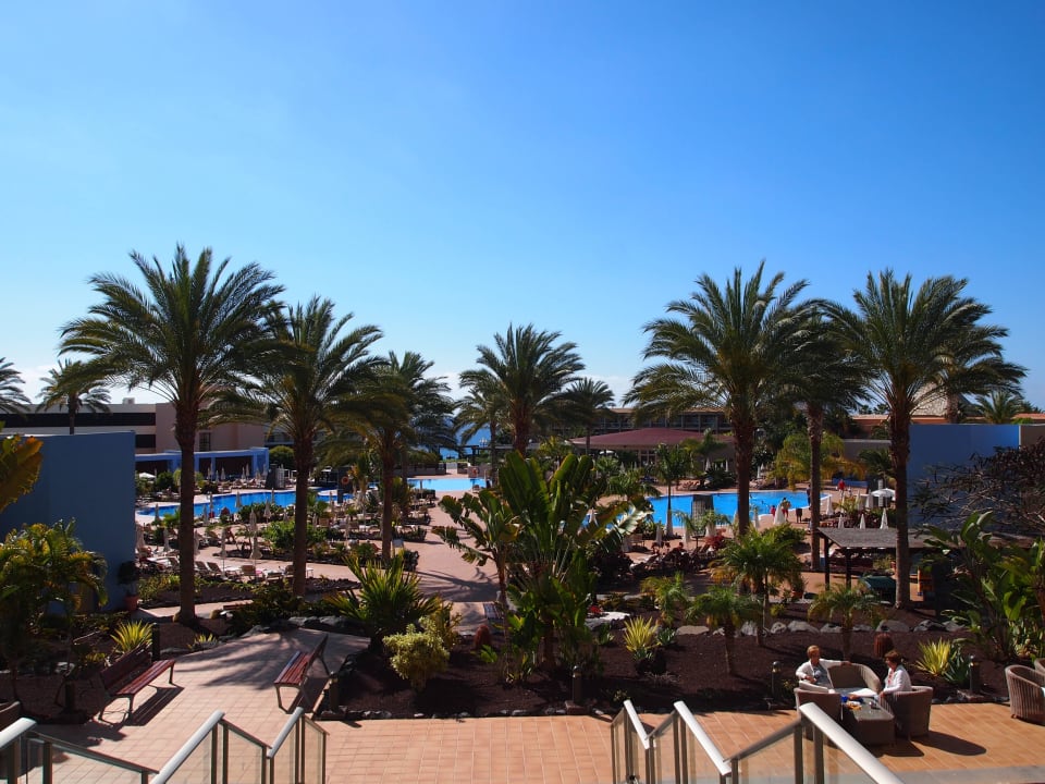 Ausblick vor dem Eingang Iberostar Waves Gaviotas Park