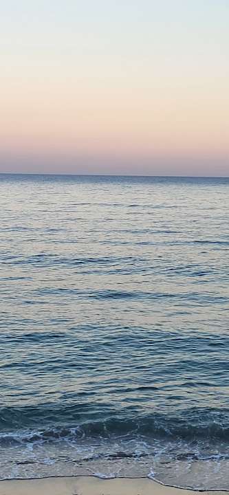 Sonstiges Seven Seas Hotel Life