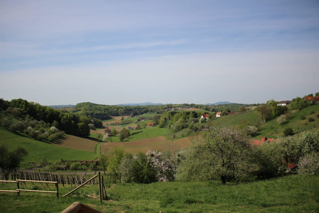 Ausblick Weinhaus 3 Weingarten-Resort Unterlamm Loipersdorf
