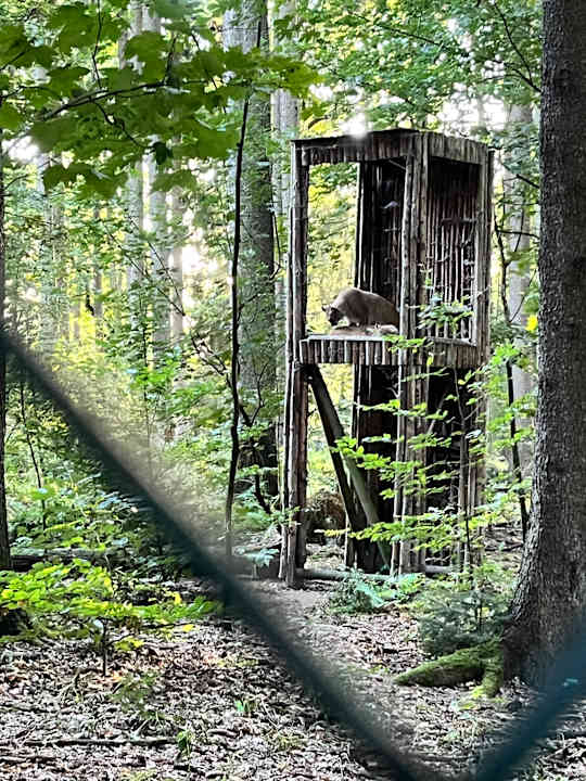 Außenansicht Testdummy for HolidayCheck Training