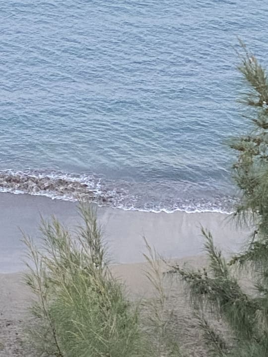 Ausblick Hotel Riu Palace Palmeras