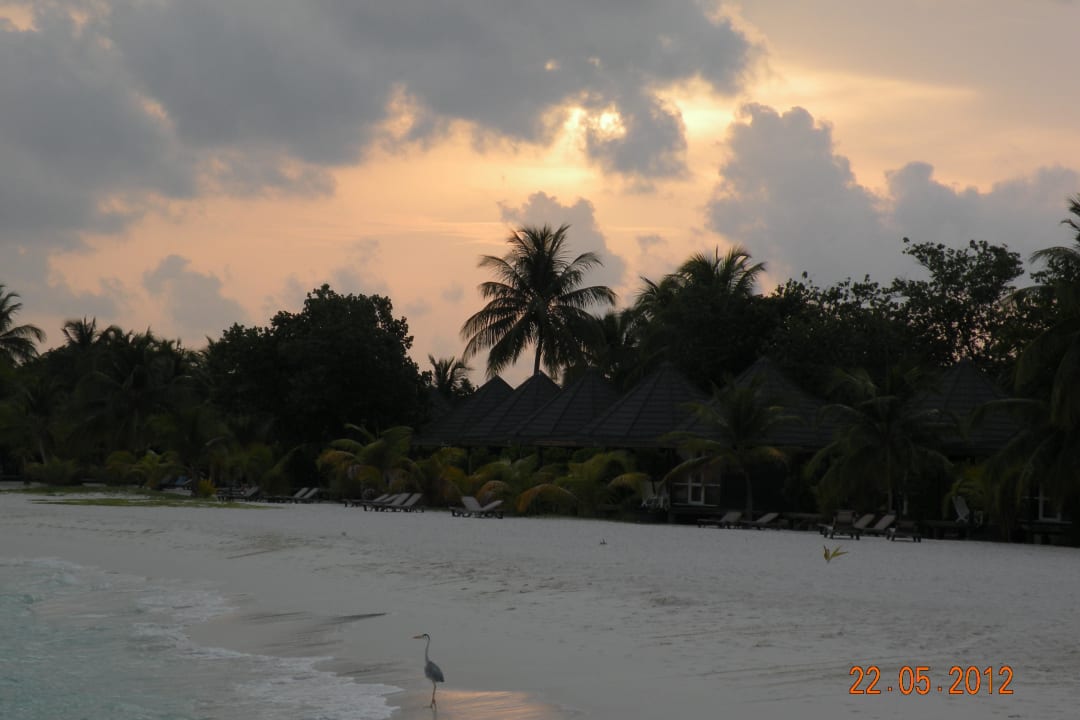 Sonnenuntergang Kuredu Island Resort & Spa