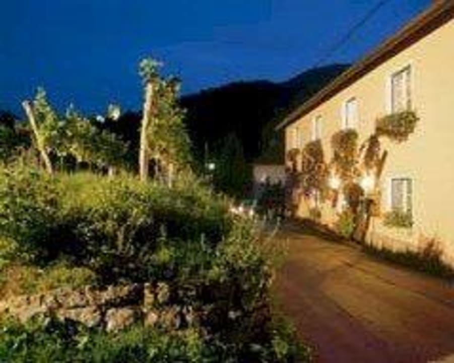 Das Weingut von der Außenansicht Weingut Donabaum & Boutiquehotel Das WeinSpitz