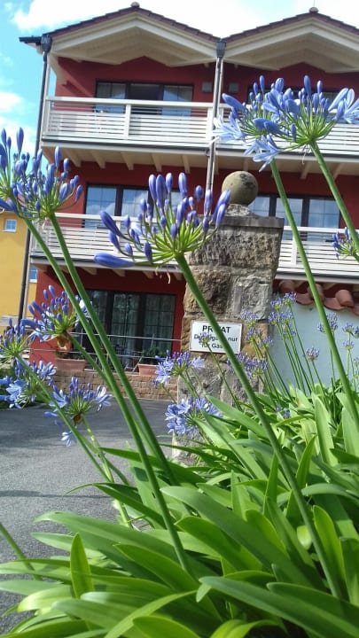 Außenansicht Hotel Brauerei Gasthof Höhn