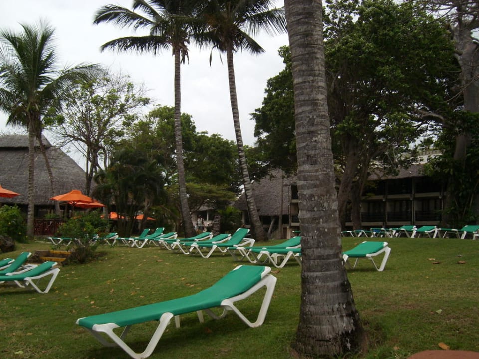 Blick auf Liegemöglichkeiten im Garten Baobab Beach Resort & Spa