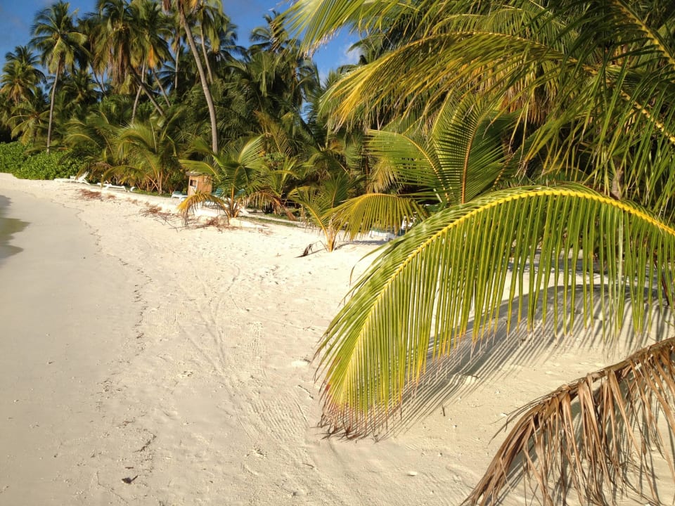 Strand Meeru Maldives Resort Island