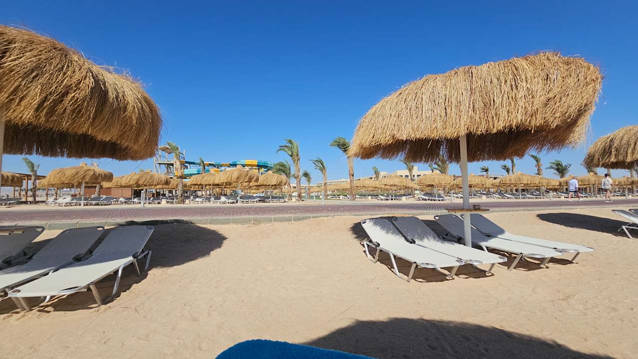 Strand JAZ Elite Asteria