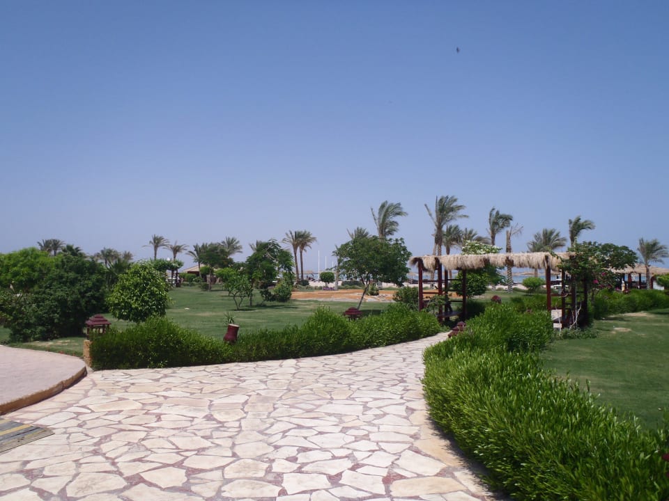 Ogród i plaża Regency Plaza Aqua Park & Spa