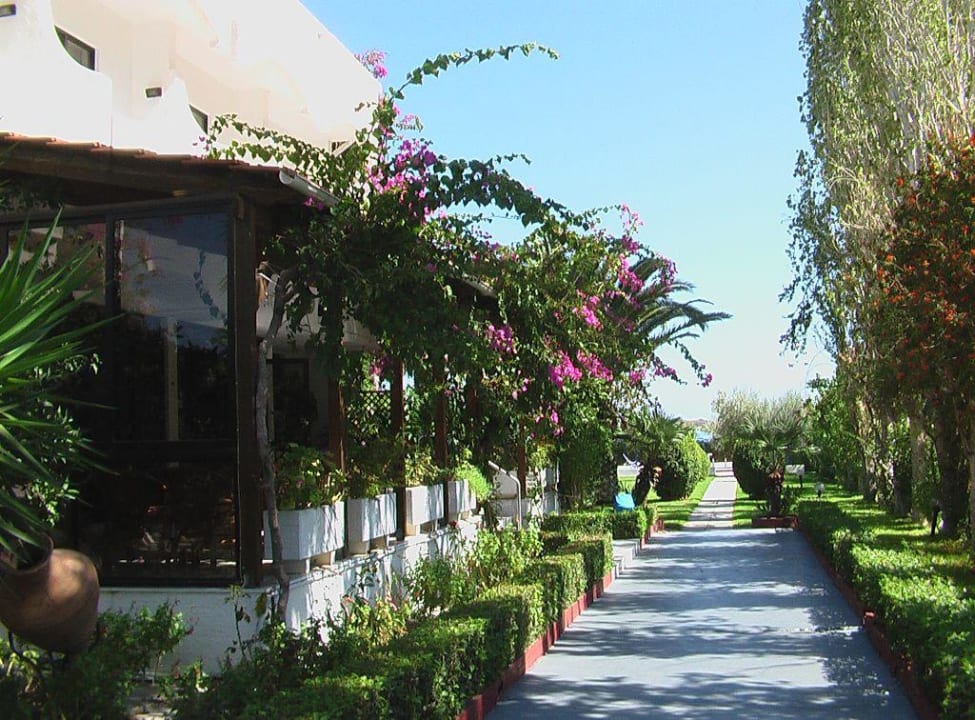 Weg zum Haupteingang Hotel Tina Flora