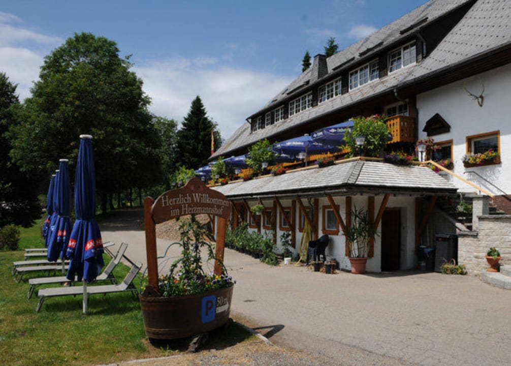 Kleine Liegewiese für die Gäste Heizmannshof Hotel & Restaurant