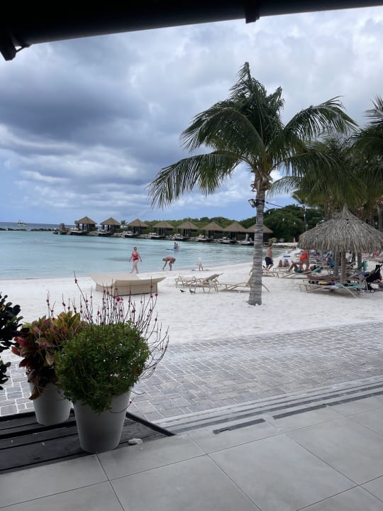 Strand Renaissance Aruba Resort & Casino