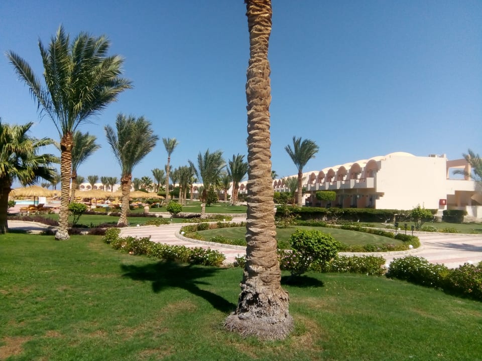 Gartenanlage Three Corners Sea Beach Resort