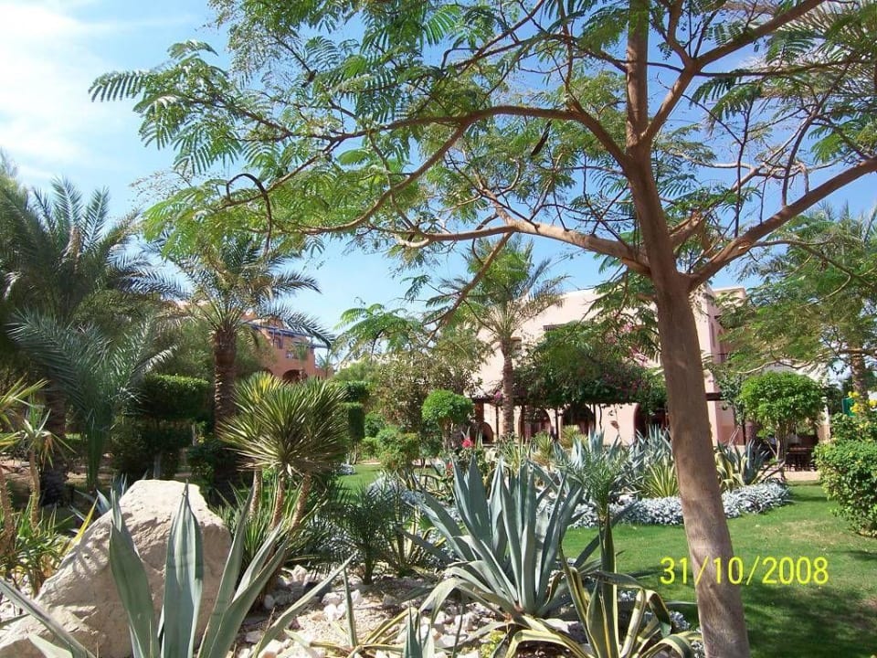 Gartenanlage 01 Jaz Makadi Oasis Resort