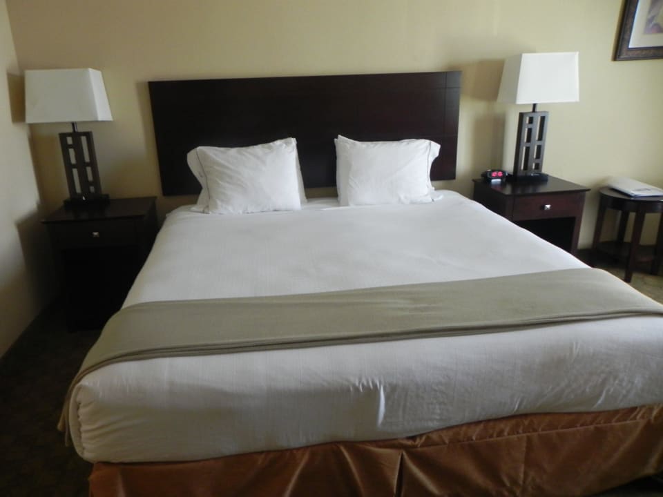 Kingsizebett Holiday Inn Express Hotel & Suites Tampa USF Busch Gardens