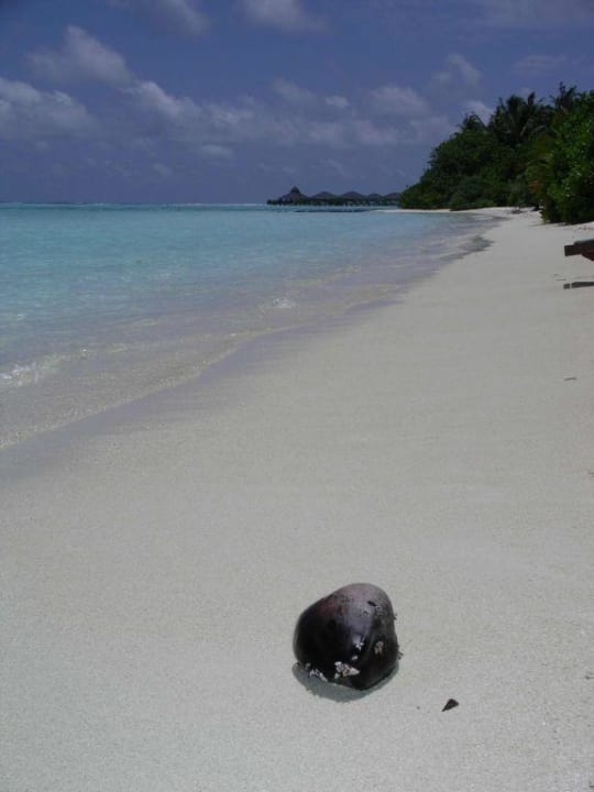 Wer hat die Kokusnuss geklaut? Villa Park Sun Island