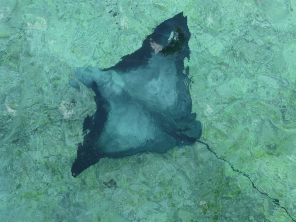 Rochen Baros Maldives Resort