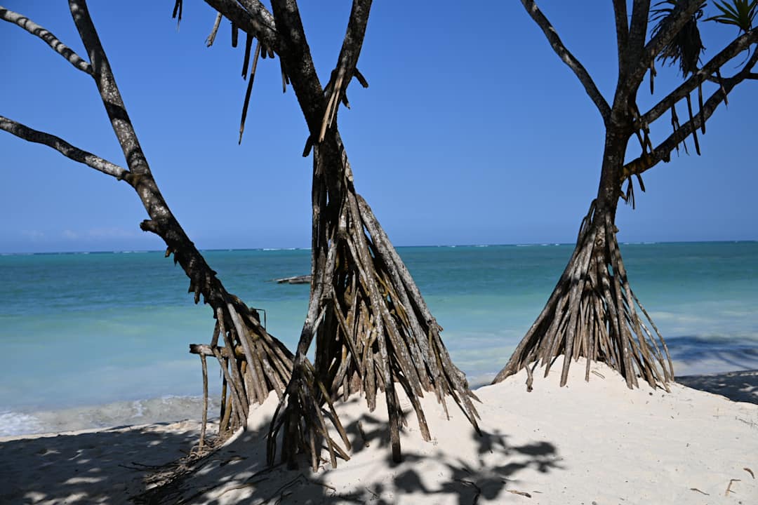 Strand Neptune Pwani Beach Resort & Spa