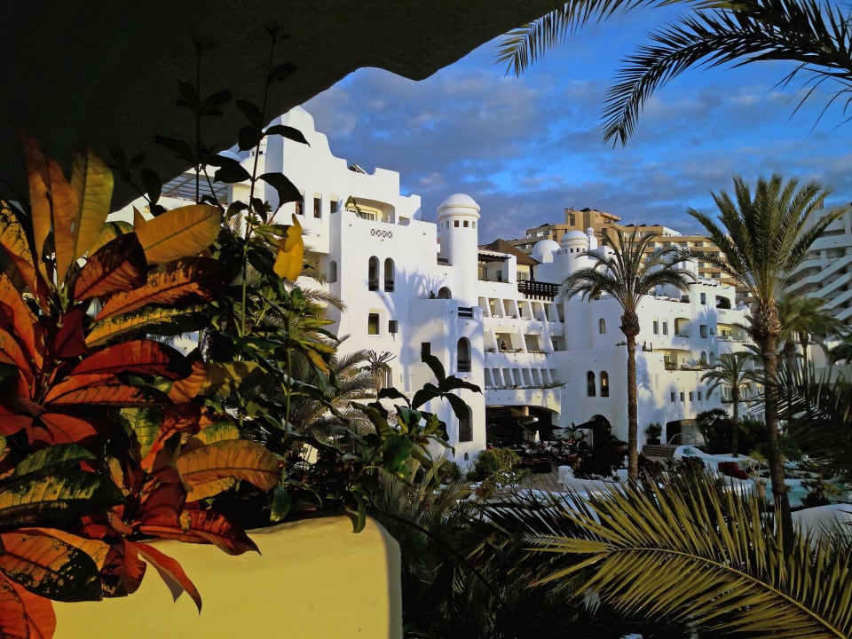 Ausblick Dreams Jardín Tropical