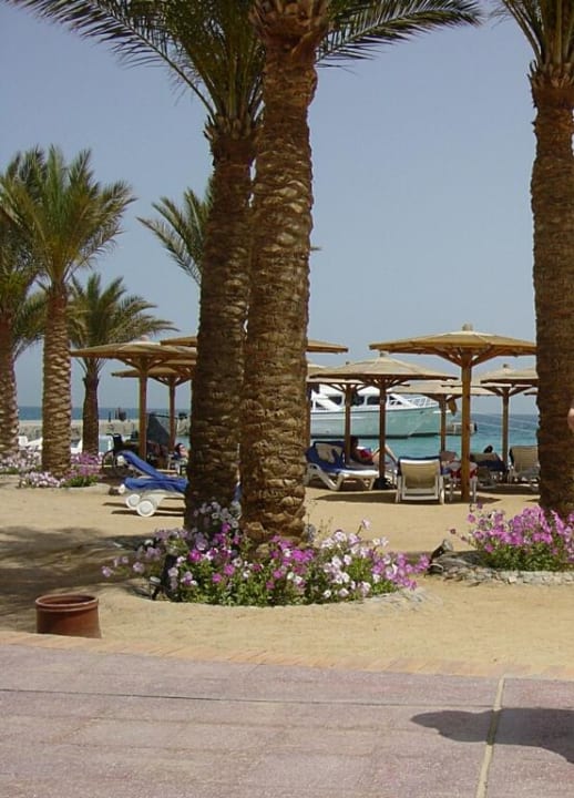 Z ogrodu na plażę Palm Beach Resort