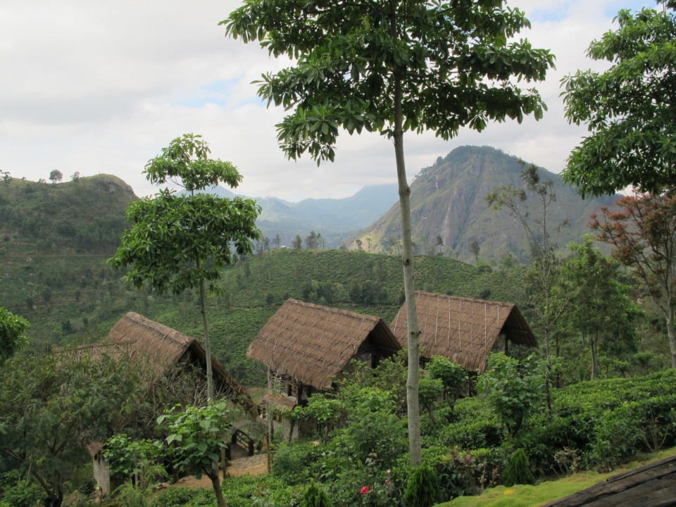 Nur 6 Bungalows 98 Acres Resort