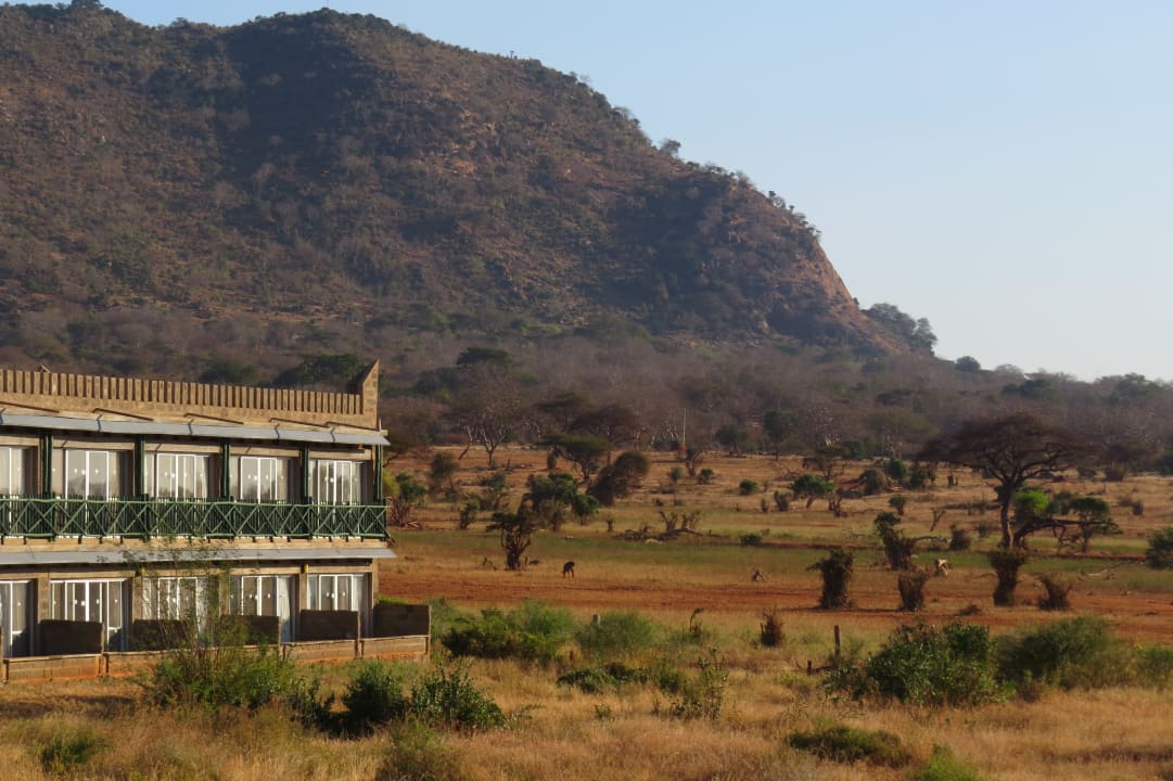Ausblick Voi Wildlife Lodge