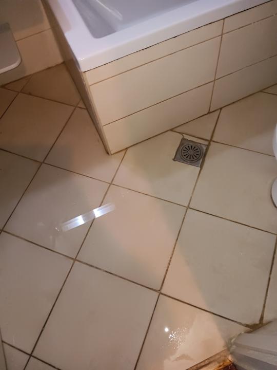 Zimmer Hotel Albatros