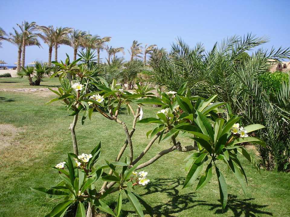 Hotelanlage Pensée Royal Garden Beach Resort