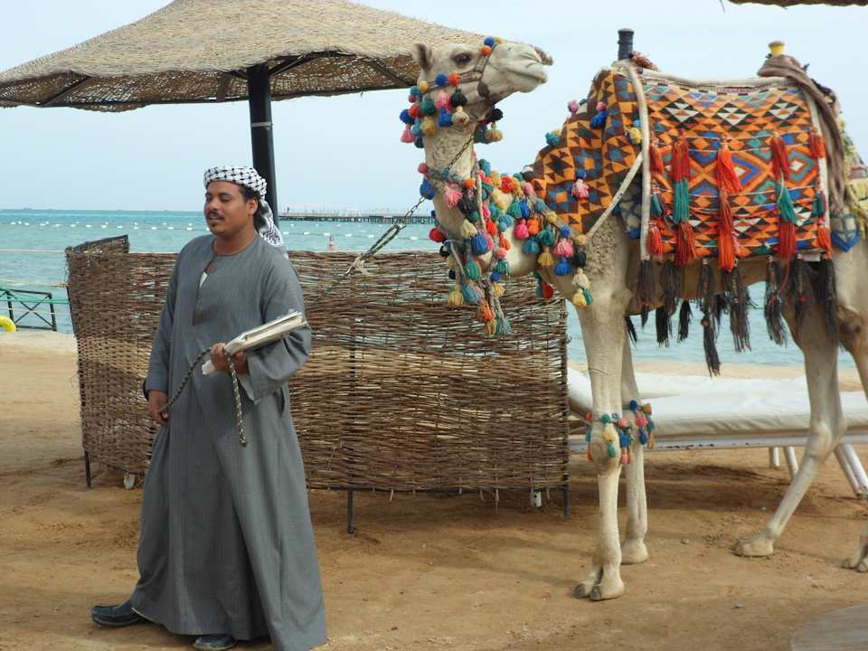 Верблюд Максим Le Jardin Aqua Park Resort